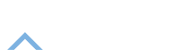 The Anglo Professional Logo